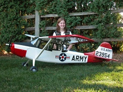 CESSNA L-19 BIRD DOG - HOSTETLER