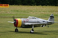 REPUBLIC P-47 THUNDERBOLT - DON SMITH - SHORT KIT